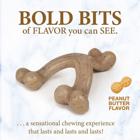 Nylabone Gourmet Style Strong Wishbone Puppy Chew Toy Small Regular - Poudre Pet & Feed Supply 3