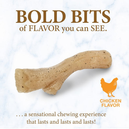 Nylabone Gourmet Style Strong Stick Puppy Chew Toy Medium Wolf - Poudre Pet & Feed Supply 3