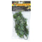 Zoo Med Natural Bush Mexican Phyllo Plants Green Small