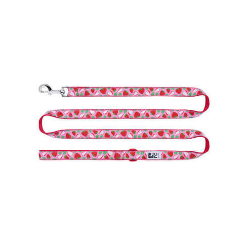 RC PETS Dog Leash, Strawberries, 1"x6' - Poudre Pet and Feed Supply