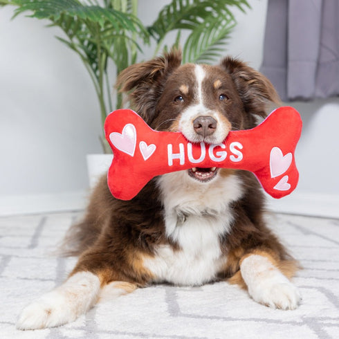 Huxley & Kent Hugs & Kisses Bone 2.0 (Double Sided) Dog Toy Large - Poudre Pet & Feed Supply 2