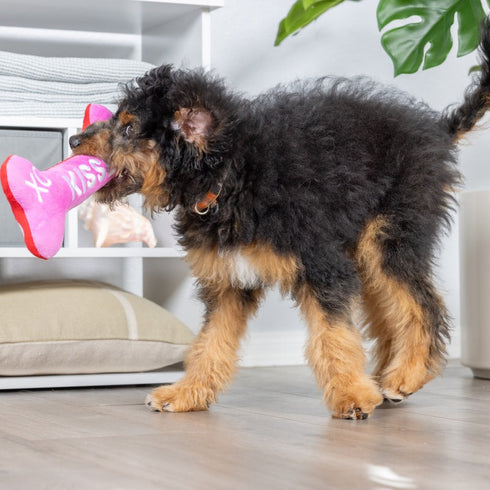 Huxley & Kent Hugs & Kisses Bone 2.0 (Double Sided) Dog Toy Large - Poudre Pet & Feed Supply 4