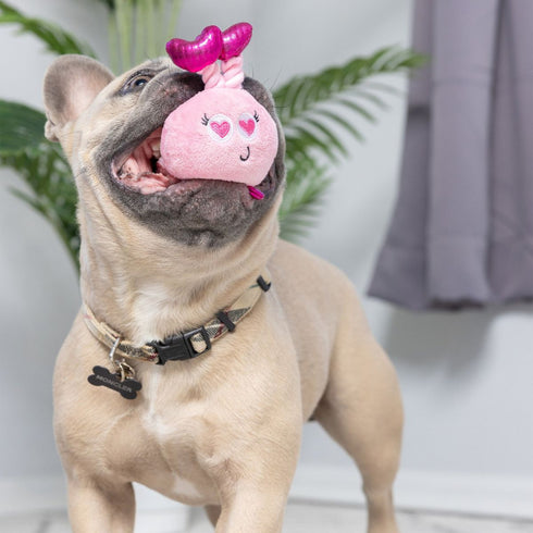 Huxley & Kent Tiny Tuff Love Bugs Dog Toys Poudre Pet & Feed Supply 2