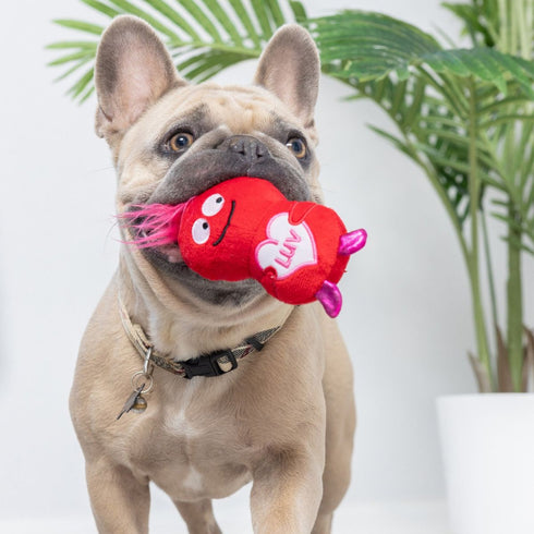 Huxley & Kent Tiny Tuff Love Bugs Dog Toys Poudre Pet & Feed Supply 3