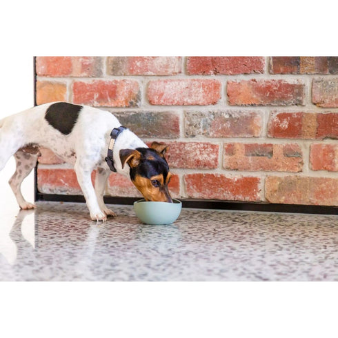 FuzzYard Life Silicone Bowl Myrtle Green Small Poudre Pet & Feed Supply 2