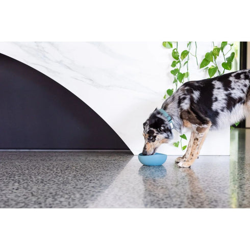 FuzzYard Life Silicone Bowl French Blue Small