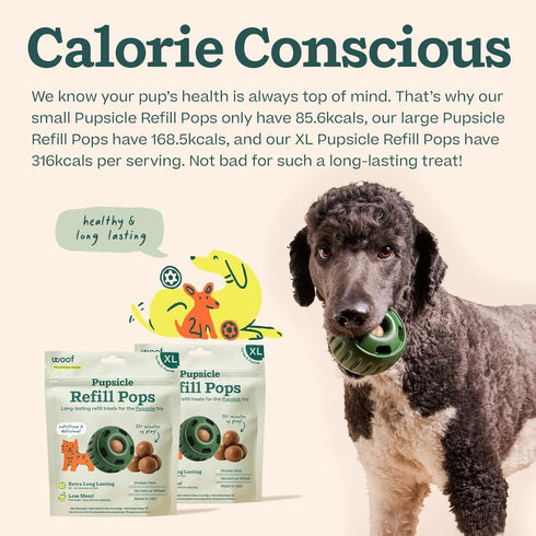 Woof Pupsicle Pops Chicken Peanut Butter Dog Treats XL 12oz