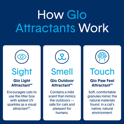 BoxieCat Glo Natural Attractions Non-Clumping Cat Litter - 6lb Bag