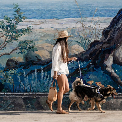 Wolfgang MountainWave Dog Harness Small 5/8" x 12"-18" - Poudre Pet & Feed Supply 2