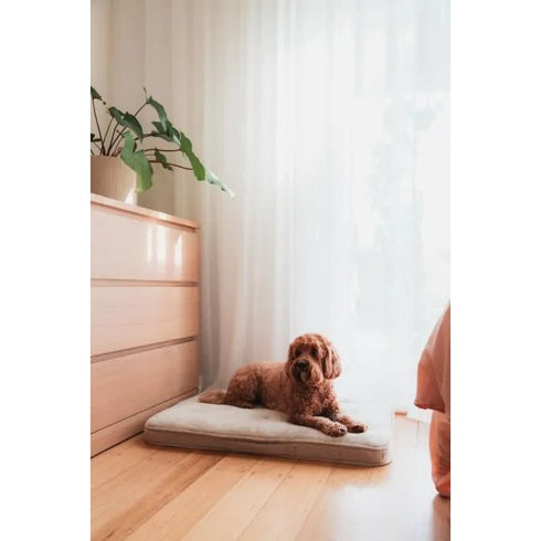 FuzzYard Life Lounge Mat Sandstone Medium - Poudre Pet & Feed Supply 3