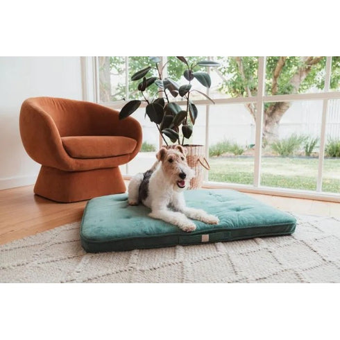 FuzzYard Life Lounge Mat Myrtle Green Medium - Poudre Pet & Feed Supply 4