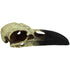Komodo Raven Skull Hideout Large - Poudre Pet & Feed Supply