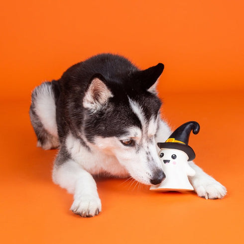 Fringe Studio One Wicked Ghost Latex Dog Toy