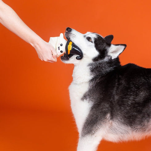 Fringe Studio One Wicked Ghost Latex Dog Toy