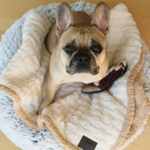 Tall Tails Cuddle Donut Pet Bed Khaki 23" S - Poudre Pet & Feed Supply 6