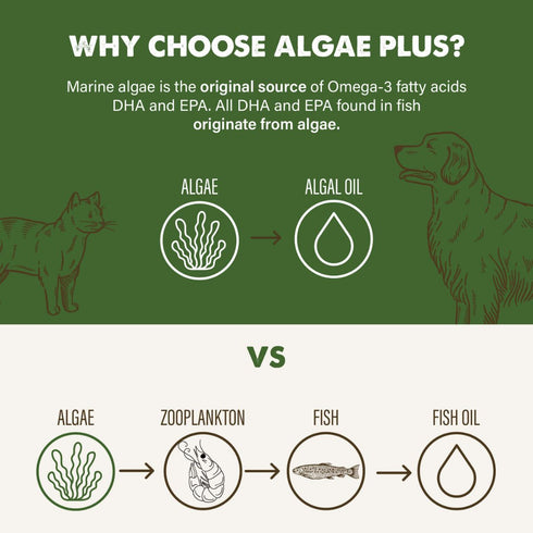 Grizzly Algal Plus Oil Food Supplement 16oz - Poudre Pet & Feed Supply 7