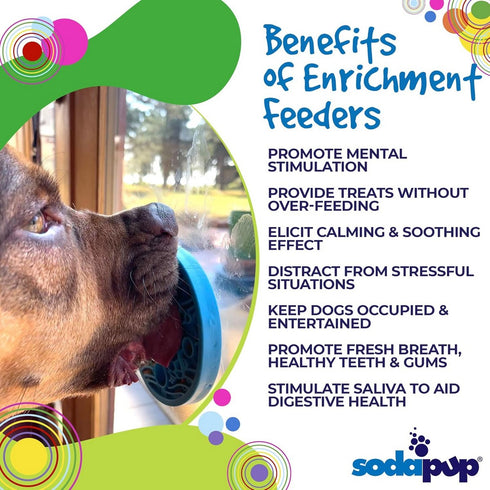 SodaPup Turtle EMat-Mini Lick Mat with Suctions Cups - Poudre Pet & Feed Supply 4