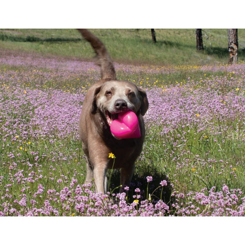 Ruff Dawg Hart Dog Toys Small Assorted - Poudre Pet & Feed Supply 4