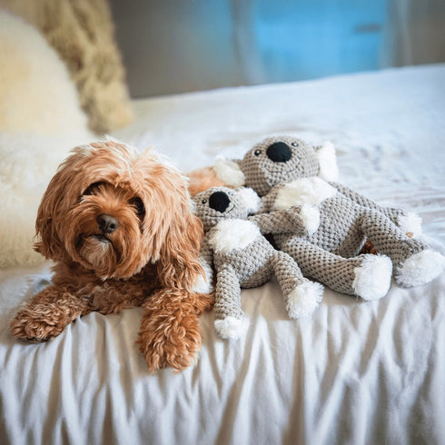 FabDog Floppy Koala Dog Toy Large - Poudre Pet & Feed Supply 2