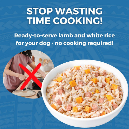 Koha Limited Ingredient Bland Diet Lamb & White Rice Wet Dog Food 12.5oz - Poudre Pet & Feed Supply 3