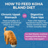 Koha Limited Ingredient Bland Diet Lamb & White Rice Wet Dog Food 12.5oz - Poudre Pet & Feed Supply 4