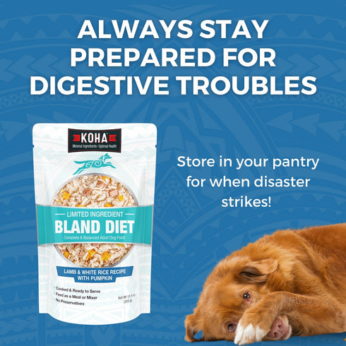 Koha Limited Ingredient Bland Diet Lamb & White Rice Wet Dog Food 12.5oz - Poudre Pet & Feed Supply 5