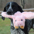 Tall Tails Flying Pig Dog Toy 12" - Poudre Pet & Feed Supply 4