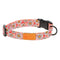 RC Pets Eco Clip Collar Medium Daisy Joy - Poudre Pet & Feed Supply