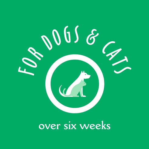 Earthbath Paw Wash Avocado & Calendula with Shea Butter 8oz - Poudre Pet & Feed Supply 8