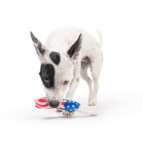 Huxley & Kent Tiny Tuff Lil' Firecracker Bone Dog Toy - Poudre Pet & Feed Supply 5