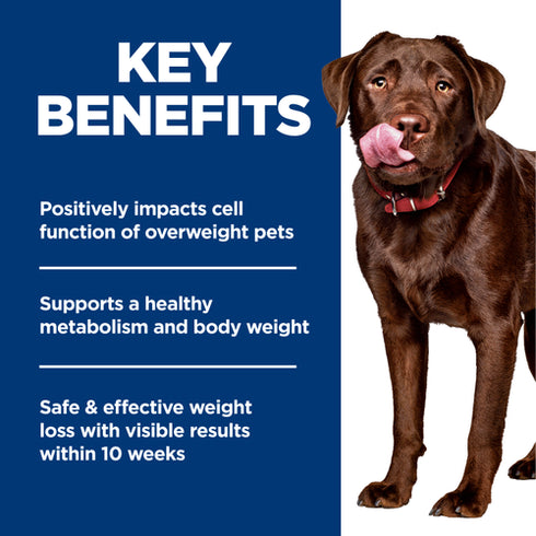 Hill's Science Diet Adult Perfect Weight Large Breed Dry Dog Food - Chicken - 22lb Bag