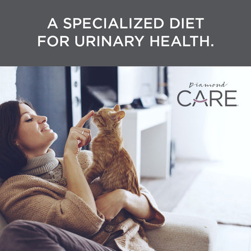 Diamond Care Urinary Support Dry Cat Food - Chicken - 15lb Bag