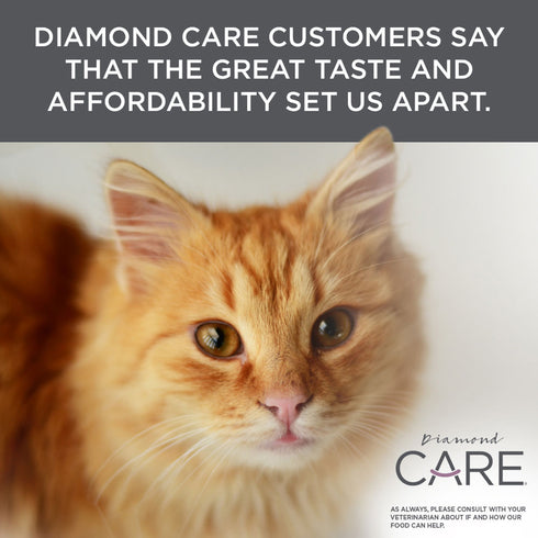 Diamond Care Urinary Support Dry Cat Food - Chicken - 15lb Bag