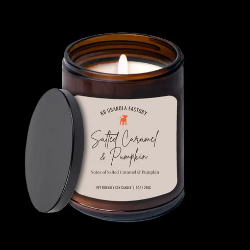 K9 Granola Factory House & Home Pet Friendly Odor Eliminator Candle - Salted Caramel & Pumpkin