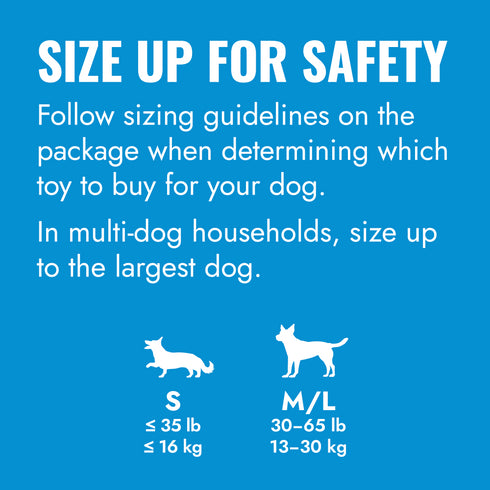 Kong Puppy Tire Dog Toy