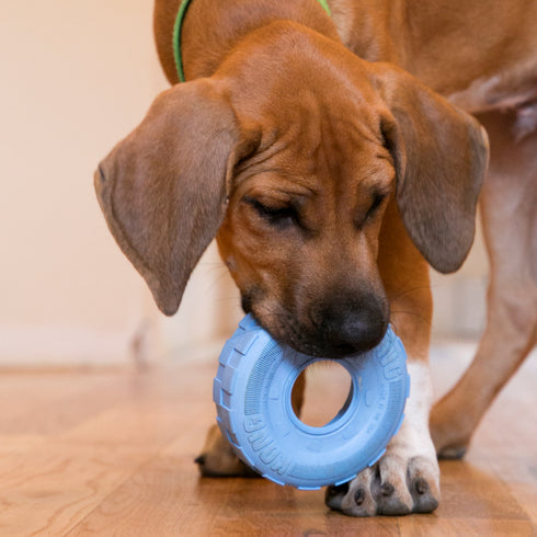 Kong Puppy Tire Dog Toy