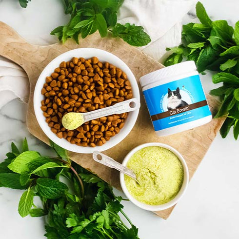 Herbsmith Cat Breath Dental Support - 75g Powder