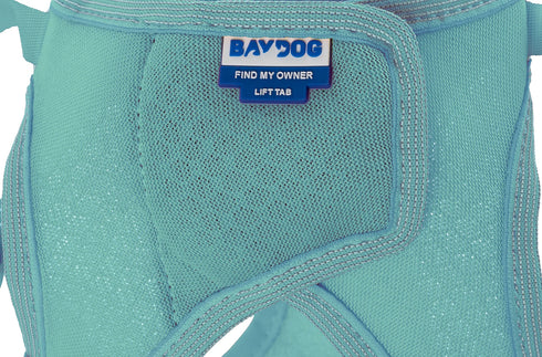 Bay Dog Liberty Dog Harness - X-Small 8.5-10" - Teal