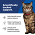 Hill's Science Diet Adult Sensitive Stomach & Skin Dry Cat Food - Chicken & Brown Rice - 3.5lb Bag