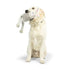 Huxley & Kent Lankies Bimky Bunny Dog Toy - Large