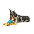 Huxley & Kent Lankies Red Rooster Dog Toy - Large