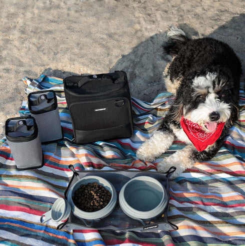 Cleverpup Bistro Box Dog Food Travel Kit - Large - Graphite