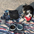 Cleverpup Bistro Box Dog Food Travel Kit - Large - Graphite