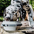 Cleverpup Nomad Collapsible Travel Dog Bowl - Large - Grey