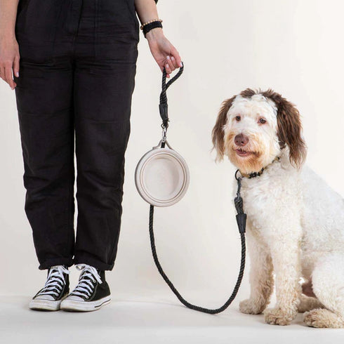 Cleverpup Nomad Collapsible Travel Dog Bowl - Large - Sand