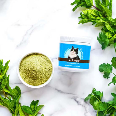 Herbsmith Cat Breath Dental Support - 75g Powder