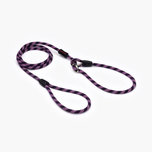 EZYDOG Luca Dog Leash - Purple