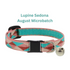 Lupine MicroBatch Cat Collar With Bell - 1/2" x 8-12" - Sedona