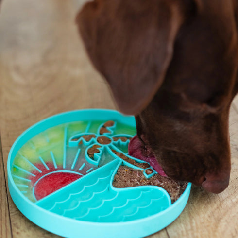 Messy Mutts Interactive Lick Bowl - 8" - Teal Beach Scene
