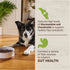 Merrick Kitchen Comforts Dried Dog Food - Lamb & Brown Rice - 22lb Bag